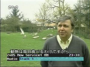 nhk1.jpg (20838 Byte)