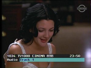 tv1000ci.jpg (11802 Byte)