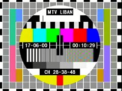 mtvlib.jpg (15624 Byte)