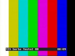 serte.jpg (5764 Byte)