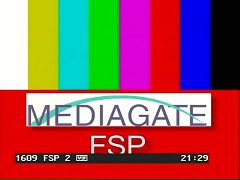 Fsp2.jpg (8822 Byte)