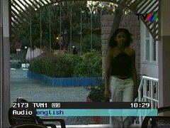 tvm1.jpg (14082 Byte)