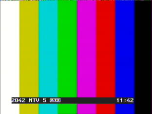 mtv5.jpg (8635 Byte)